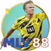 MLV88