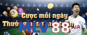 MLV88